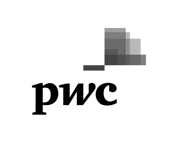 PWC-grey.jpg